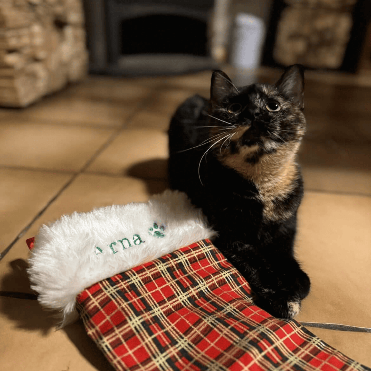 Chaussette de Noël Personnalisée Chien/Chat- fait main dans notre atelier